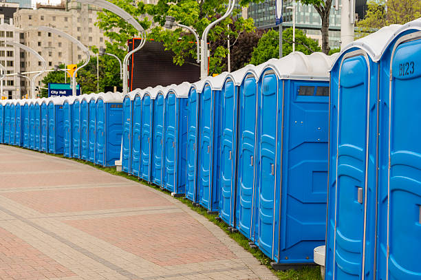 Best Portable Restroom Removal and Pickup  in Hamburg, IA